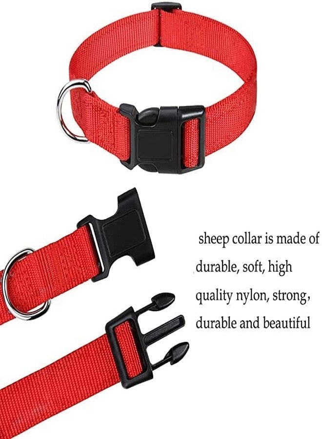 Pups&Pets طقم طوق نايلون قابل للتعديل مع حزام للكلاب والجراء | طقم حزام 15 مم للكلاب والجراء (لون أحمر) - Image 2